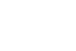 The Brig logo